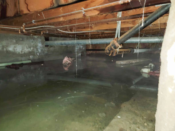 Best Water damage restoration near me  in Kentwood, MI