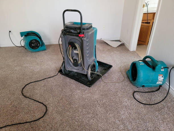  Kentwood, MI Water damage restoration Pros
