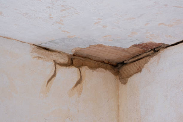 Best Water damage cleanup near me  in Kentwood, MI