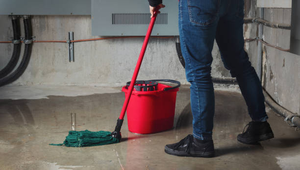 Best Local water damage restoration  in Kentwood, MI