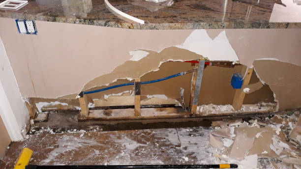 Best Water damage contractors near me  in Kentwood, MI