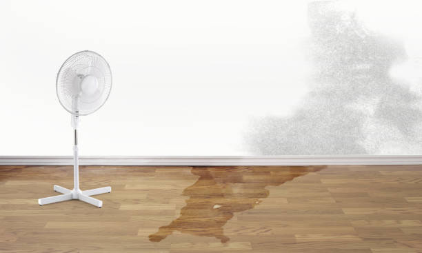 Best Flood damage cleanup  in Kentwood, MI