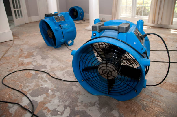 Sewage cleanup and water damage restoration in Kentwood, MI