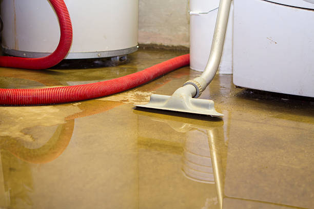 Best 24/7 water damage repair  in Kentwood, MI