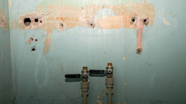 Best Local water damage restoration  in Kentwood, MI