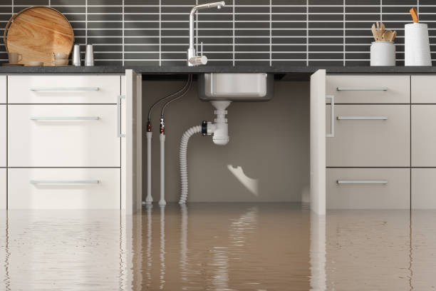 Best Flood damage cleanup  in Kentwood, MI