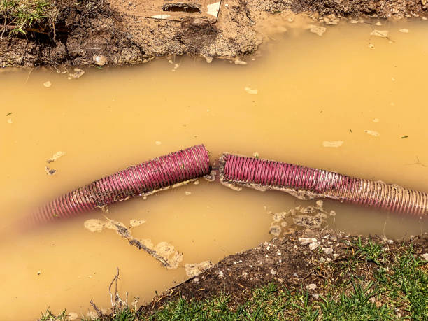 Best Sewage cleanup and water damage restoration  in Kentwood, MI